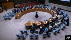 Засідання Ради безпеки ООН