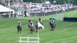 维吉尼亚跳栏跑马金杯赛虚拟大放送 维吉尼亚跳栏跑马金杯赛虚拟大放送