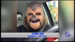 2016年网上疯传的视频和搞笑内容 2016年网上疯传的视频和搞笑内容