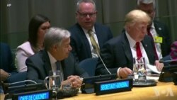 特朗普呼吁各国联手打击毒品 特朗普呼吁各国联手打击毒品