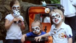 走进美国:华裔熊猫童星成长记 走进美国:华裔熊猫童星成长记