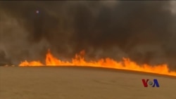 全球气候峰会将至 巴黎加强戒备 全球气候峰会将至 巴黎加强戒备