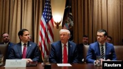 美国总统唐纳德·特朗普主持上任后第一次内阁会议。(2025年2月26日)