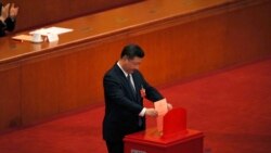 时事大家谈:“不是我的国家主席”,海外的反习声浪 时事大家谈:“不是我的国家主席”,海外的反习声浪