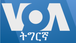 ፈነወ ትግርኛ ሰንበት ፈነወ ትግርኛ ሰንበት