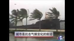 全球各地市长:城市是抗击气候变化的前沿 全球各地市长:城市是抗击气候变化的前沿