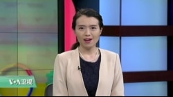 VOA连线:华盛顿樱花顽强过冬 樱花周末开幕 VOA连线:华盛顿樱花顽强过冬 樱花周末开幕