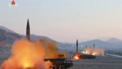 THAAD ဒုံးစနစ်အတွက် ပထမသုတ်ပစ္စည်းများ တောင်ကိုရီယားရောက်ရှိ THAAD ဒုံးစနစ်အတွက် ပထမသုတ်ပစ္စည်းများ တောင်ကိုရီယားရောက်ရှိ