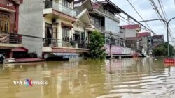 Bão Yagi quét vào Việt Nam gây thiệt hại nặng, hàng chục người chết Bão Yagi quét vào Việt Nam gây thiệt hại nặng, hàng chục người chết