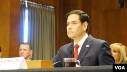 被美国当选总统唐纳德·特朗普提名为国务卿的马可·鲁比奥出席美国国会参议院外交委员会对他的提名确认听证会。(2025年1月15日,美国之音记者李逸华拍摄)