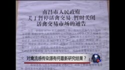 VOA连线: 关注中国禽流感疫情 VOA连线: 关注中国禽流感疫情