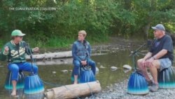 年轻选民关心气候变化 是否投票仍在未定之天 年轻选民关心气候变化 是否投票仍在未定之天