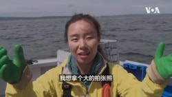 【美国学徒】一顿十只大龙虾的豪华家宴,船老大的世外桃源湖景别墅,美国渔民的“悲催”生活日常。揭秘美国龙虾产业链真相(二) 【美国学徒】一顿十只大龙虾的豪华家宴,船老大的世外桃源湖景别墅,美国渔民的“悲催”生活日常。揭秘美国龙虾产业链真相(二)