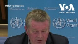 Пандемія: як досягти зниження показників? Коментар директора надзвичайної програми ВООЗ. Відео Пандемія: як досягти зниження показників? Коментар директора надзвичайної програми ВООЗ. Відео