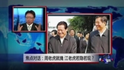 焦点对话: 周老虎就擒,江核心若隐若现? 焦点对话: 周老虎就擒,江核心若隐若现?