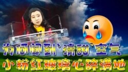 时事大家谈:为何闻到‘清甜’空气,小粉红玻璃心碎满地? 时事大家谈:为何闻到‘清甜’空气,小粉红玻璃心碎满地?