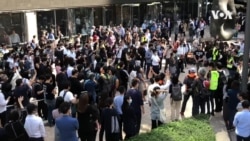 区议会选举有如“公投”,香港示威者呼吁全民投票 区议会选举有如“公投”,香港示威者呼吁全民投票