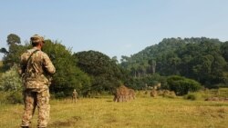ကက်ရှ်မီးယားမှာ အိန္ဒိယ-ပါကစ္စတန် အပြန်အလှန် ပစ်ခတ်မှု ၉ ဦးမက သေဆုံး ကက်ရှ်မီးယားမှာ အိန္ဒိယ-ပါကစ္စတန် အပြန်အလှန် ပစ်ခတ်မှု ၉ ဦးမက သေဆုံး