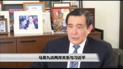 海峡论谈:马英九谈两岸关系与习近平及台湾2020总统大选 海峡论谈:马英九谈两岸关系与习近平及台湾2020总统大选