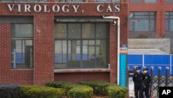 资料照:武汉病毒研究所