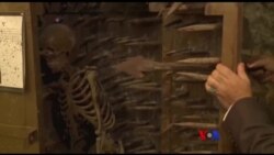 အီဂျစ်ကညှင်းပမ်းနှိပ်စက်မှု ပြတိုက် အီဂျစ်ကညှင်းပမ်းနှိပ်စက်မှု ပြတိုက်