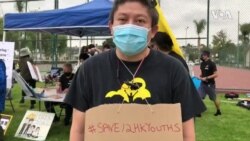 来自香港的易先生接受美国之音采访 来自香港的易先生接受美国之音采访