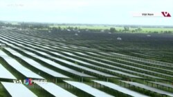 Mỹ đánh thuế chống trợ cấp vào pin năng lượng mặt trời từ Việt Nam, Đông Nam Á Mỹ đánh thuế chống trợ cấp vào pin năng lượng mặt trời từ Việt Nam, Đông Nam Á