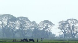 သီလဝါ အဓိကရုဏ်း ဆန္ဒပြသူတွေ ထိခိုက်ဒဏ်ရာရ သီလဝါ အဓိကရုဏ်း ဆန္ဒပြသူတွေ ထိခိုက်ဒဏ်ရာရ