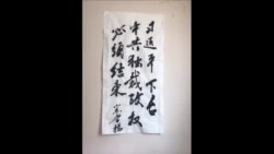 要求习近平下台的山东诗人鲁杨遭正式逮捕 要求习近平下台的山东诗人鲁杨遭正式逮捕