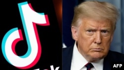 特朗普总统(右)与tiktok标识