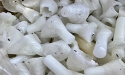 黄国才与童装店Chickeeduck合作,六四当晚在天后及荃湾分店派发他制作的”烛光有罪” (美国之音/汤惠芸)