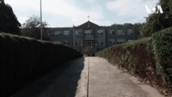 Українські монахині заснували у США коледж. Відео Українські монахині заснували у США коледж. Відео