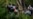 16x9 Image