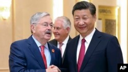 资料照:美国驻中国大使布兰斯塔与中国国家主席习近平。(2017年9月30日)