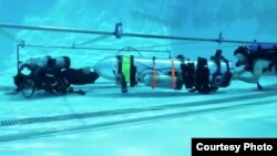 埃隆·马斯克的公司研制的“小号潜艇”(来源:马斯克的推文)