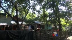 ဒဏ်ရာများနဲ့ အင်းဒင် ဒဏ်ရာများနဲ့ အင်းဒင်