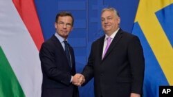 Прем’єр-міністр Швеції Ульф Крістерссон тисне руку своєму угорському колезі Віктору Орбану у Будапешті, 23 лютого 2024 р. У понеділок, 26 лютого, Угорщина погодила вступ скандинавської країни до НАТО після майже дворічної затримки. (Фото: AP/Денес Ердос)