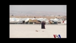 埃及热情接待叙利亚难民 埃及热情接待叙利亚难民