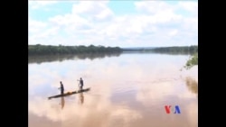 中非共和国全力打击盗猎者 中非共和国全力打击盗猎者