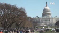 VOA英语视频: 美国年轻选民关心多元议题而非党派取向 VOA英语视频: 美国年轻选民关心多元议题而非党派取向