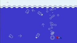 ပင်လယ်ပြင် ပလတ်စတစ် တားဆီးရေး နည်းလမ်းသစ် ပင်လယ်ပြင် ပလတ်စတစ် တားဆီးရေး နည်းလမ်းသစ်