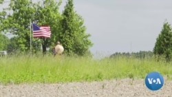 英语视频:泰国僧人徒步穿越美国以促进和平 英语视频:泰国僧人徒步穿越美国以促进和平