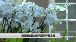 美国国家植物园庆祝两百周年纪念日 美国国家植物园庆祝两百周年纪念日