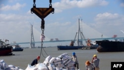 中国江苏省南通港正在装卸从巴西进口的大豆产品(2019年9月19日)