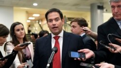 共和党联邦参议员鲁比奥(Sen. Marco Rubio, R-FL)