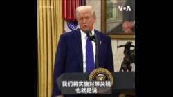特朗普谈“对等关税”：各国都在占美国便宜