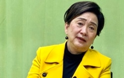 前立法会议员及民主党前主席刘慧卿表示,如果北京完全扼杀香港的反对声音,可能令立法会人大化 (美国之音/汤惠芸)