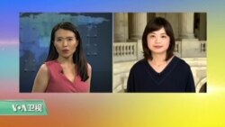 VOA连线：美国国会关注玉林狗肉节