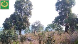 မြန်မာစစ်တပ်အပစ်ရပ်ရင် တိုင်းရင်းလက်နက်ကိုင်ကလည်း ချက်ချင်းအပစ်ရပ်မယ်ဟု TNLA ပြော မြန်မာစစ်တပ်အပစ်ရပ်ရင် တိုင်းရင်းလက်နက်ကိုင်ကလည်း ချက်ချင်းအပစ်ရပ်မယ်ဟု TNLA ပြော