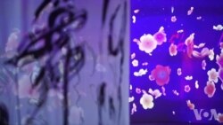 樱之梦光影展:与众不同的赏樱体验 樱之梦光影展:与众不同的赏樱体验